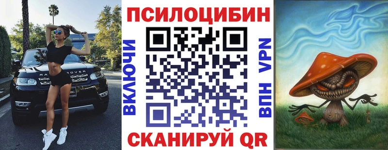 Псилоцибиновые грибы MAGIC MUSHROOMS  MEGA tor  Тейково 