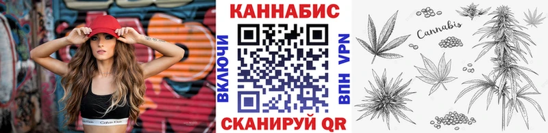 Каннабис сатива  где можно купить   Тейково 