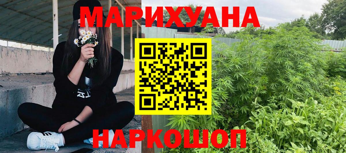 Каннабис планчик Тейково